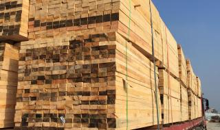 建筑木方可以用在哪 建筑木方生产厂家基地